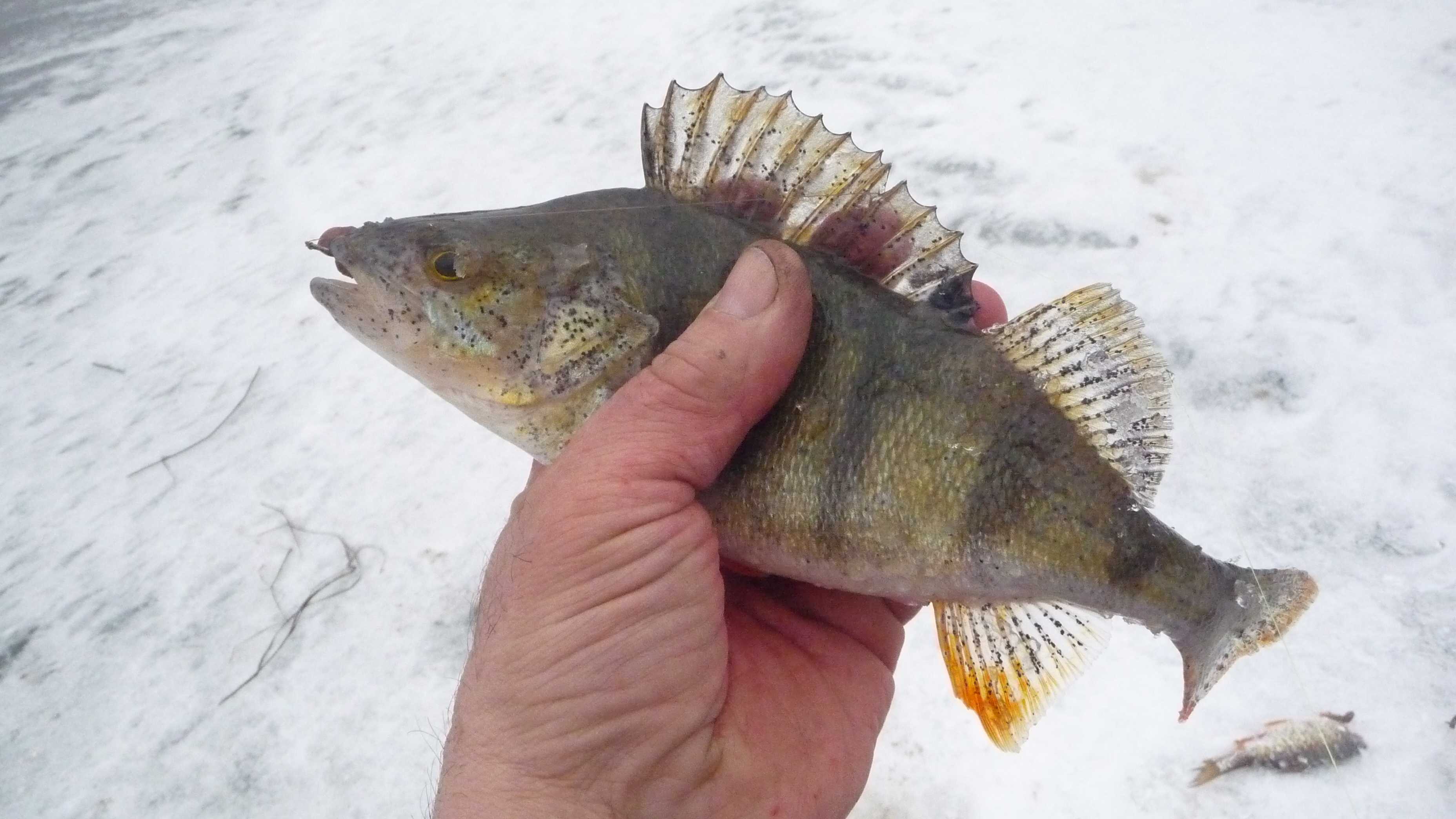Фоторепортаж с зимней рыбалки