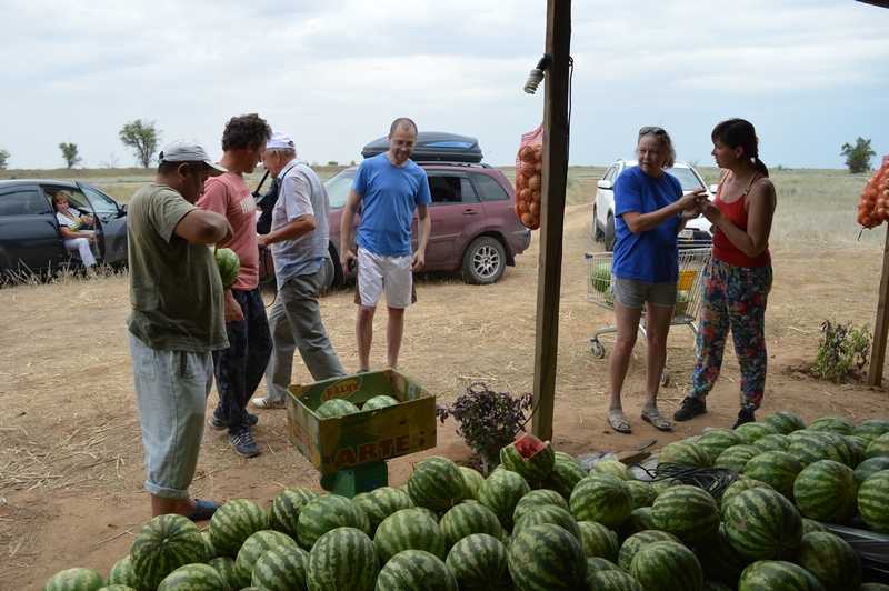 У ахтубинских фермеров нет проблем с реализацией сельскохозяйственной продукции