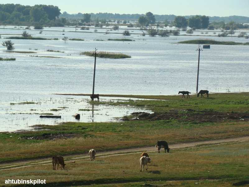 Паводок в Астраханской области продлится до 25 июня